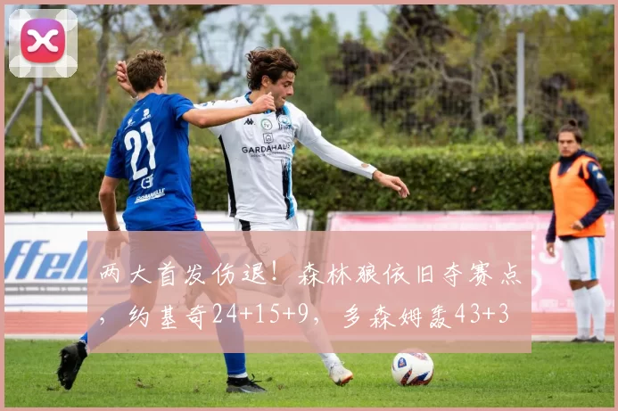 两大首发伤退！森林狼依旧夺赛点，约基奇24+15+9，多森姆轰43+3