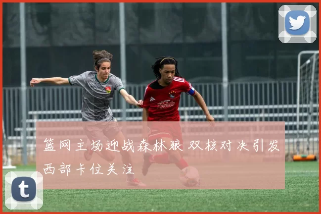 篮网主场迎战森林狼 双核对决引发西部卡位关注