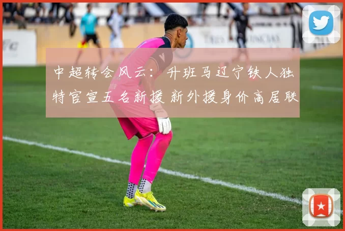 中超转会风云：升班马辽宁铁人独特官宣五名新援 新外援身价高居联盟榜首_菲尼奥_赛季