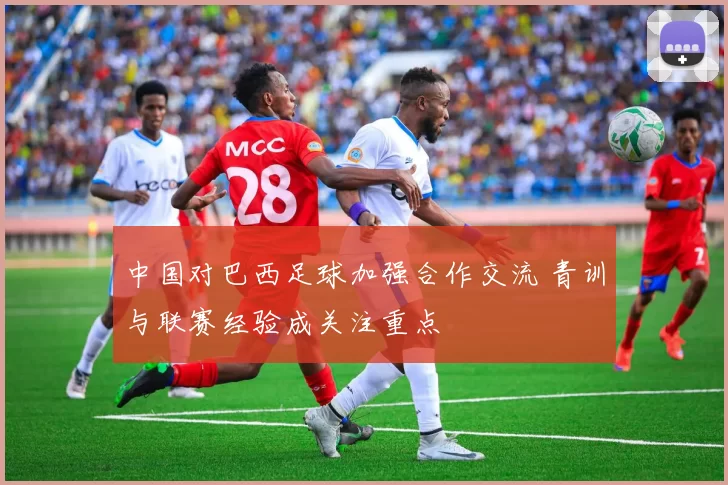 中国对巴西足球加强合作交流 青训与联赛经验成关注重点